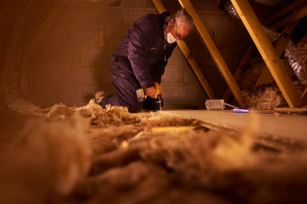 Best Types of Insulation in Avon, MN